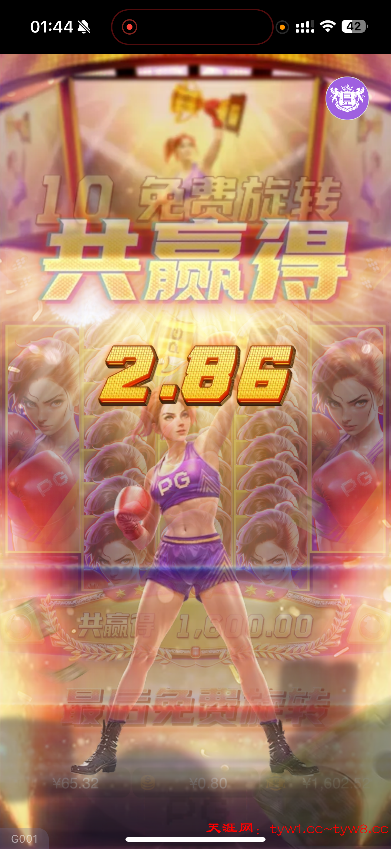 IMG_9687.png