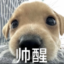 菠萝